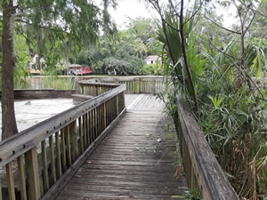 lowry park fishing deck